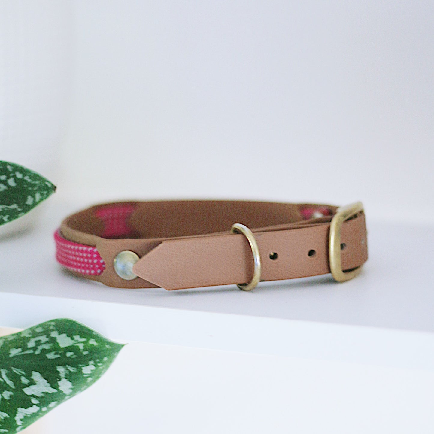 biothane-kletterseil-halsband-pink-rosa