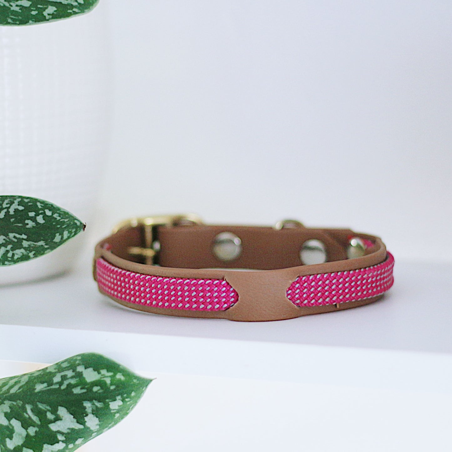 biothane-kletterseil-halsband-pink-rosa