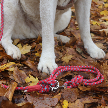 Kletterseil Hundeleine rot-blau PREMIUM handgefertigt verstellbar große Hunde
