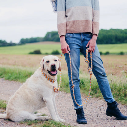 Kletterseil Hundeleine EISVOGEL orange blau handgefertigt große Hunde PREMIUM