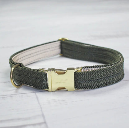 Tau Halsband olive mit Steckschnalle